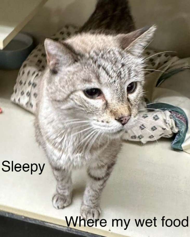 Sleepy