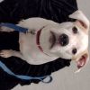 Cora photo 6