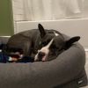 Malcolm photo 5