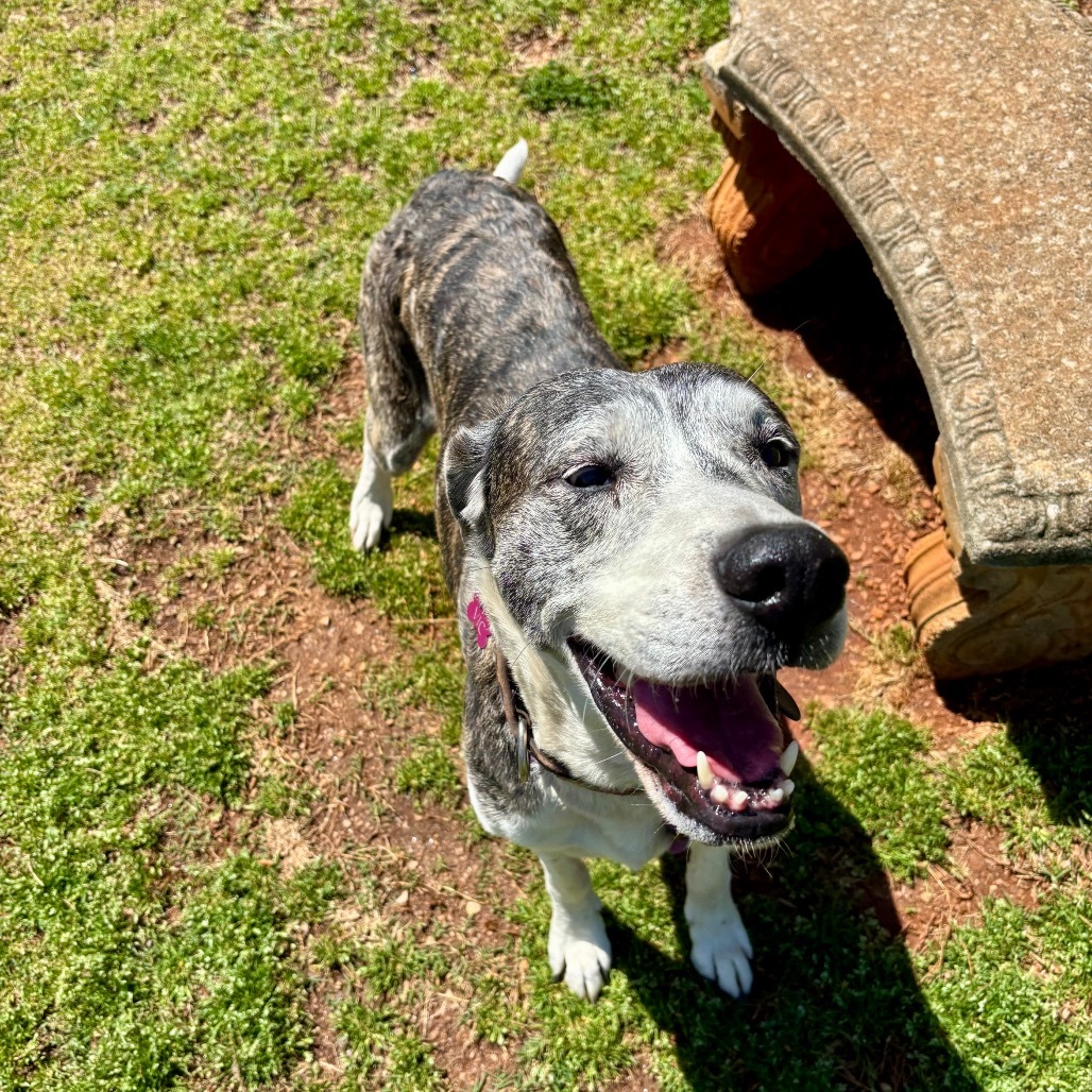 Sadie