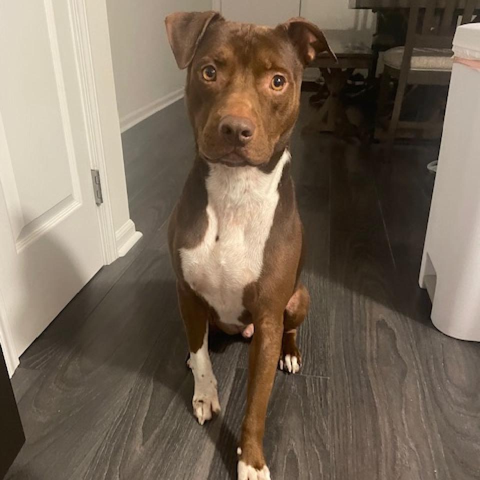 Maverick