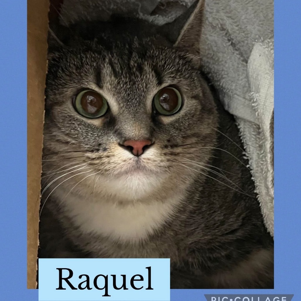 Raquel