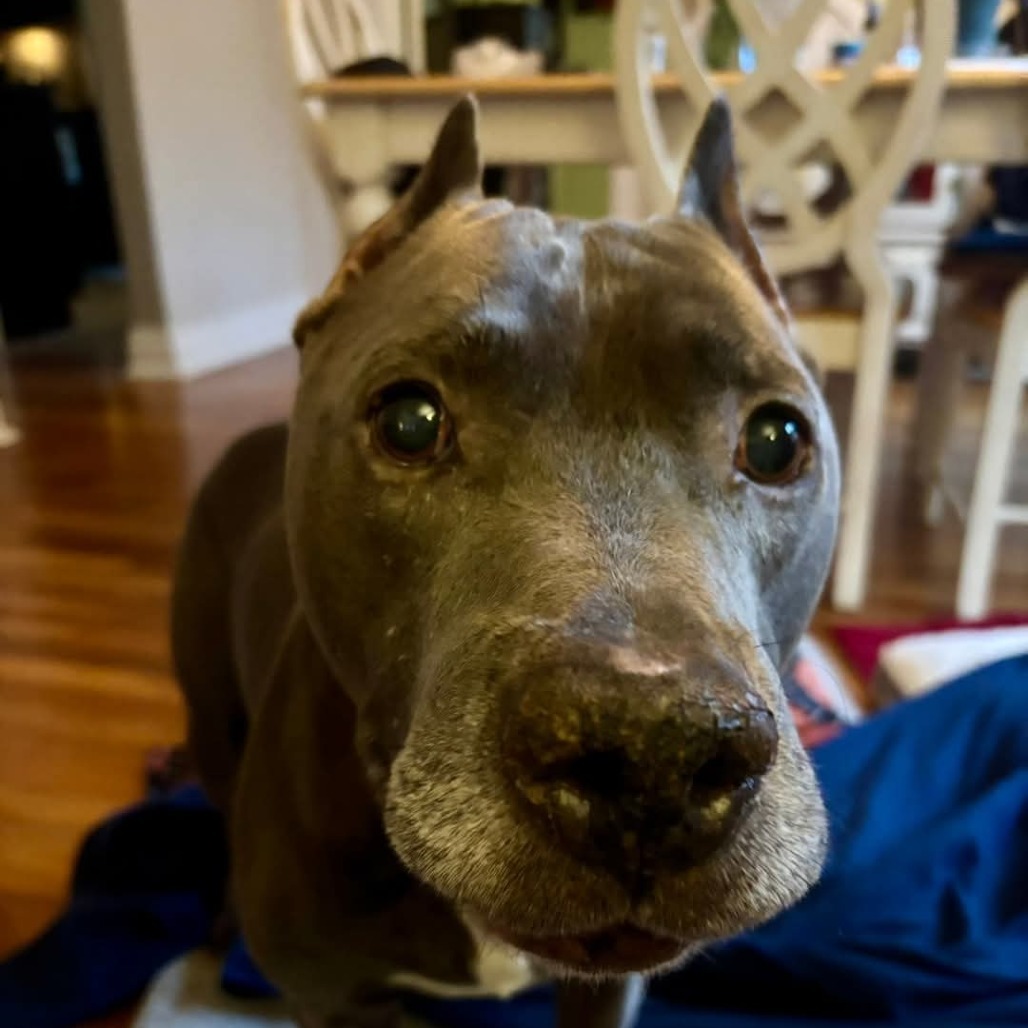 Spock