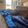 Spock photo 5