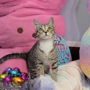 Meet Cindy Lou Hoo - Miss Independent with a Side of Sass Dont let the sweet name fool you-Cindy L