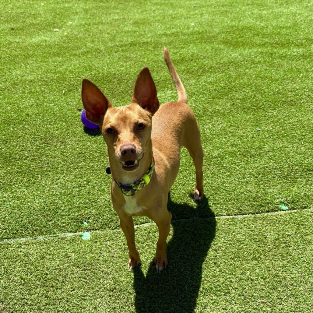 Rusty