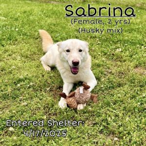Sabrina