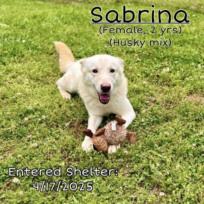 Sabrina