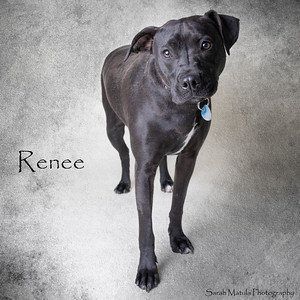 Renee