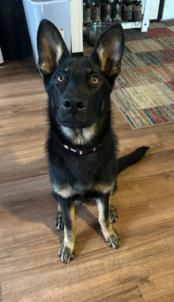 Mimi