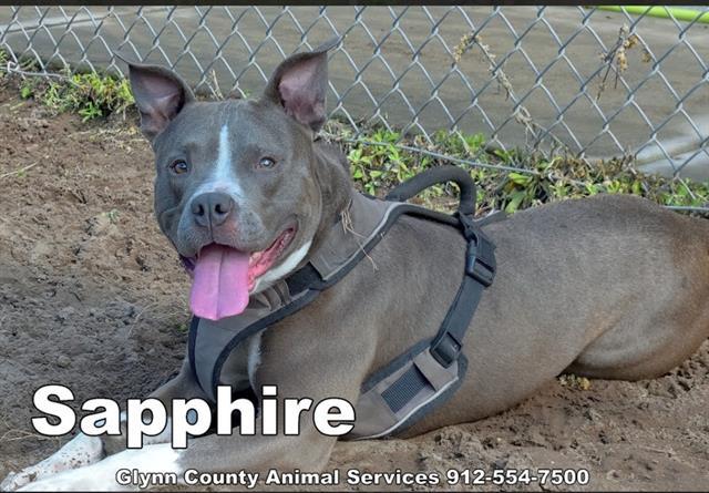 SAPPHIRE 4