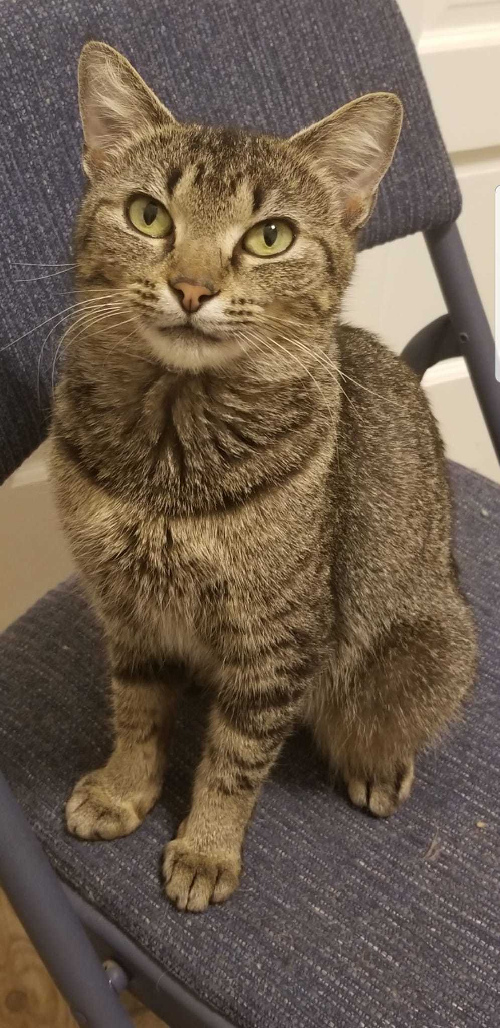 Louise