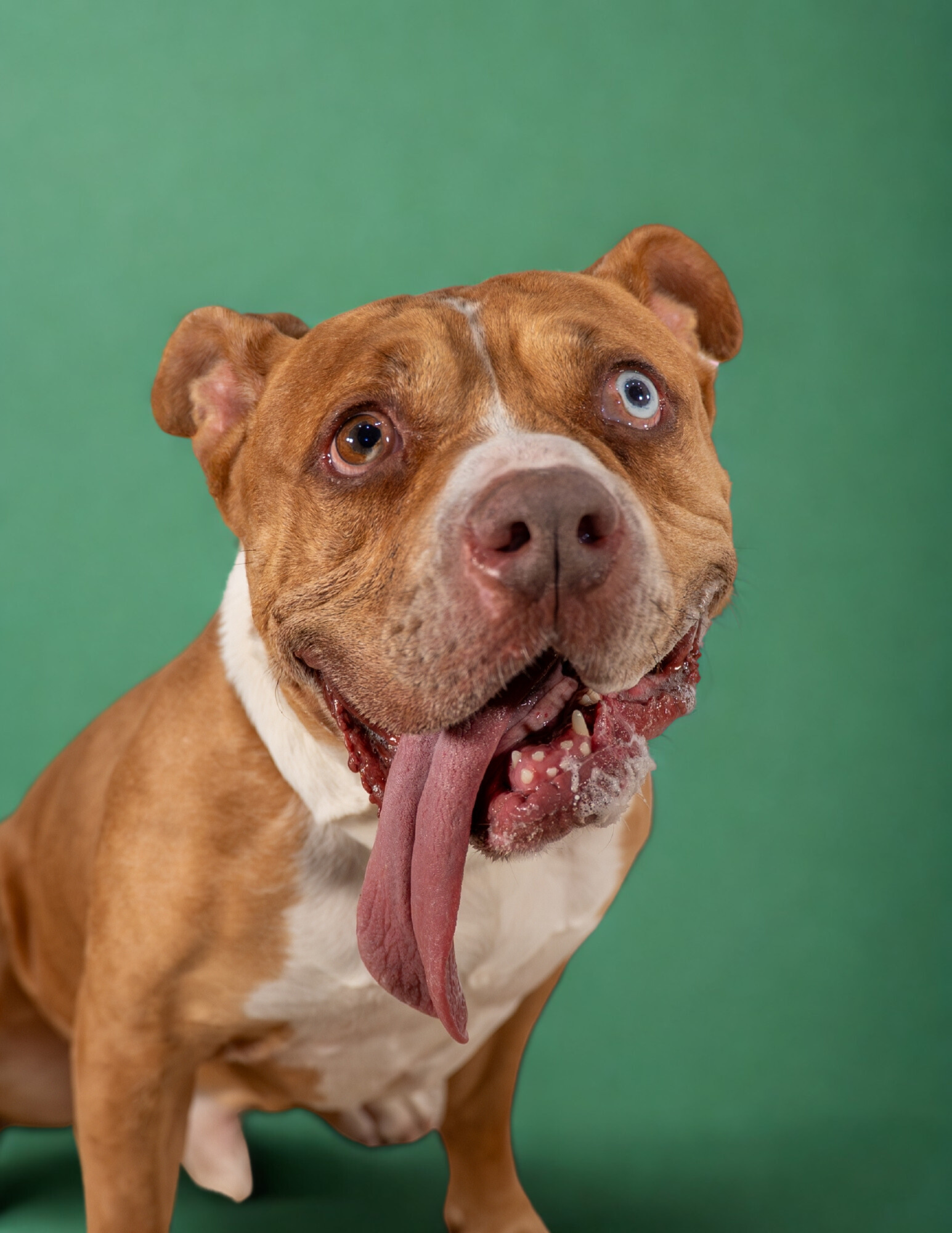 Rosco