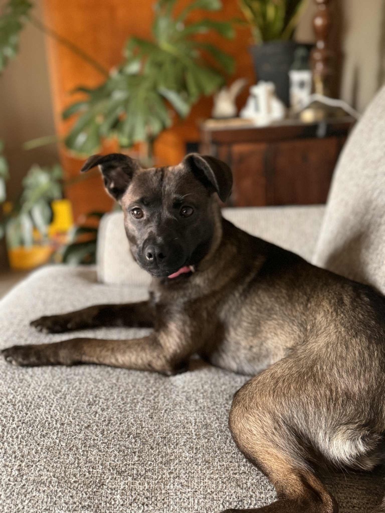 Georgia