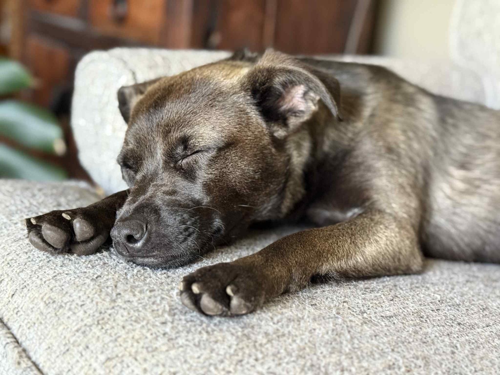 Georgia