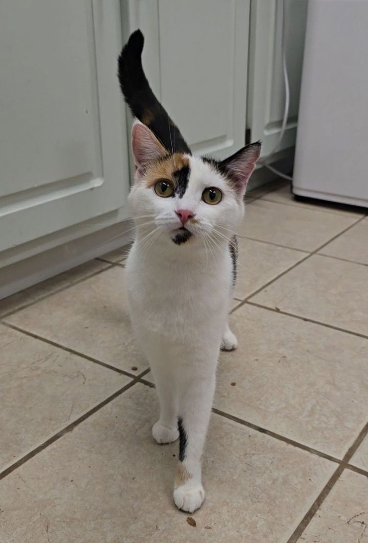 Pepper 1