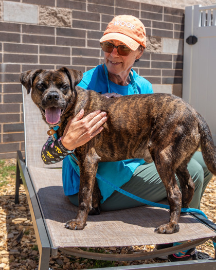 Grove - ADOPTED 2
