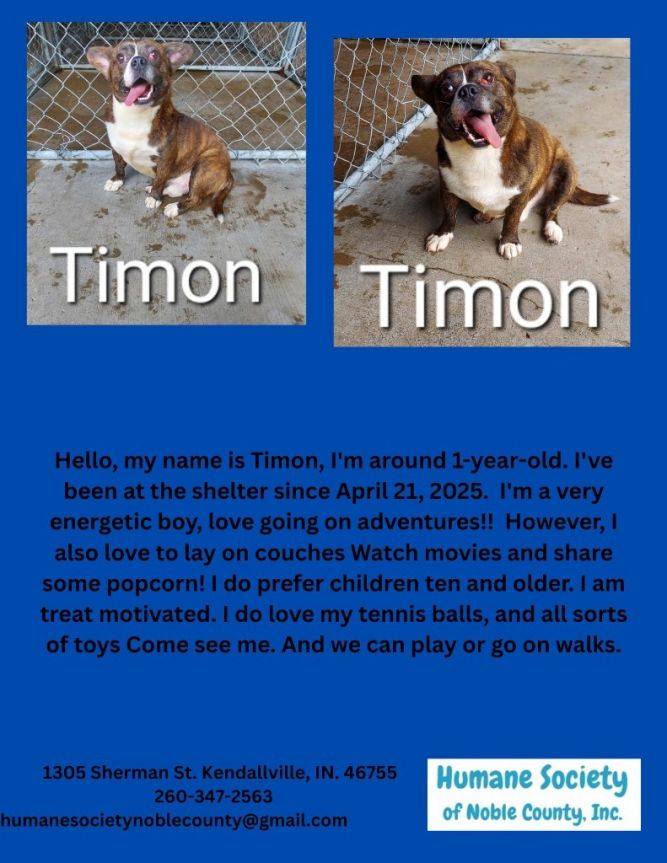 Timon