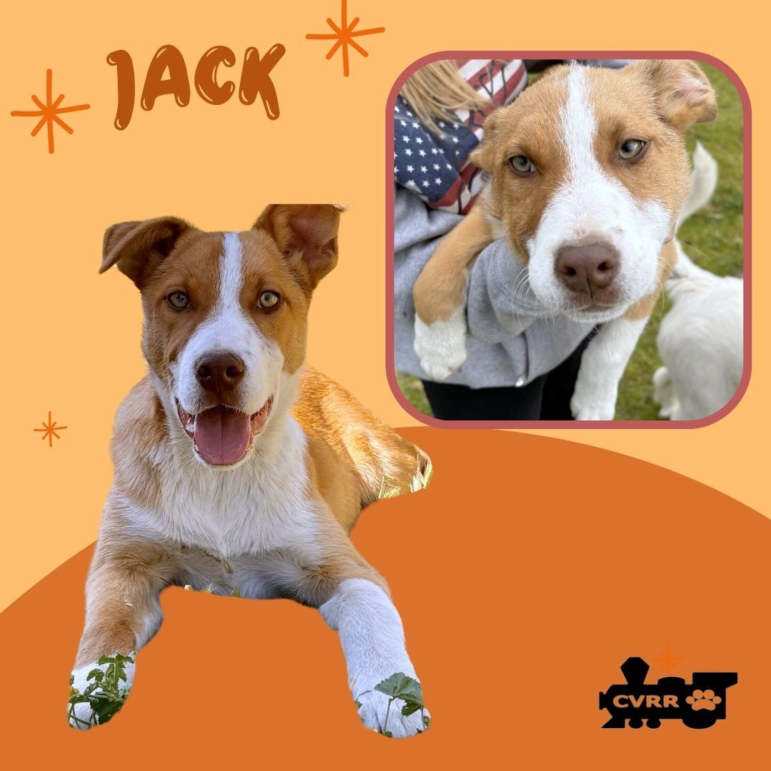 Jack