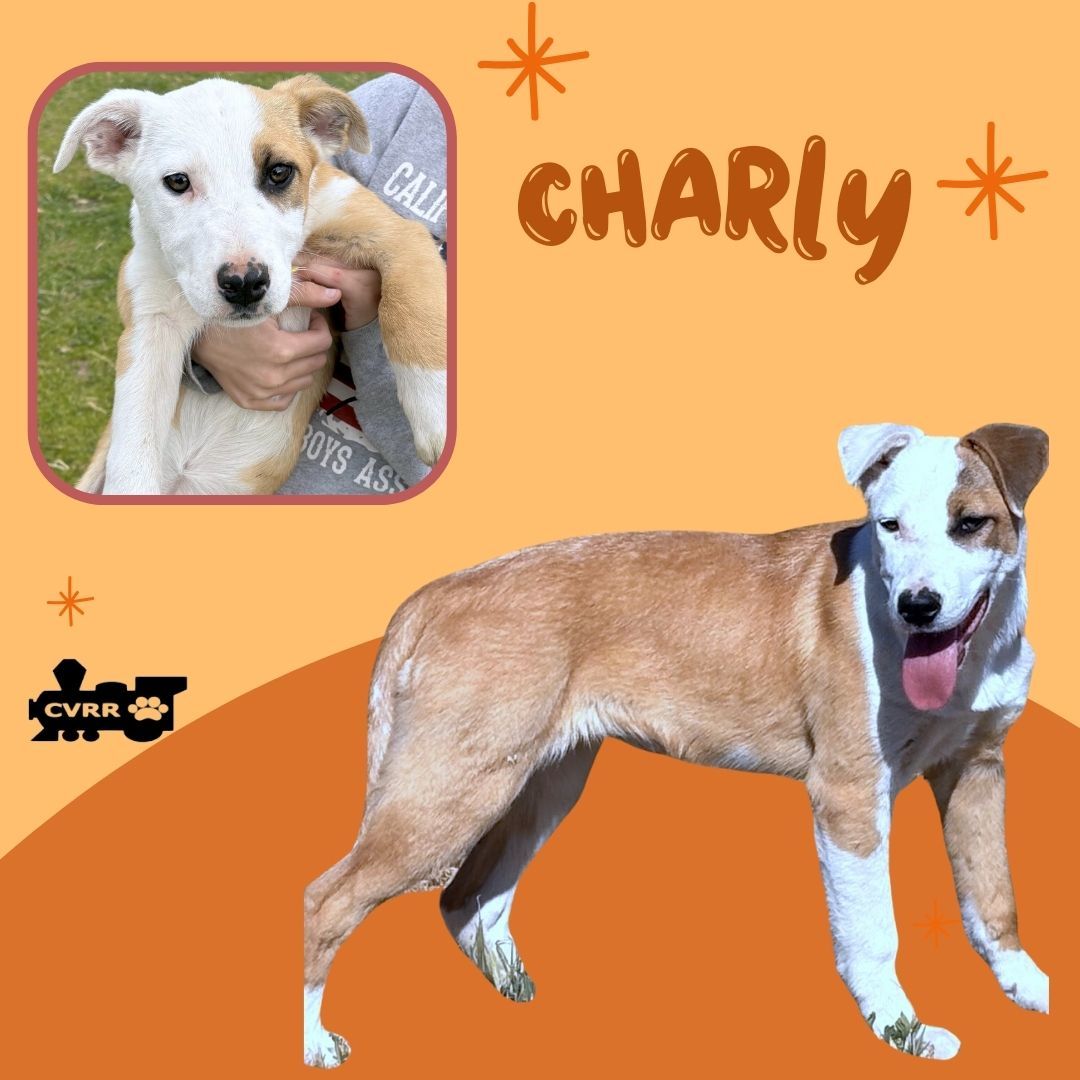 Charly