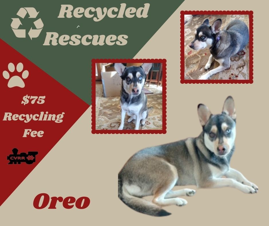 Oreo (Recycle)