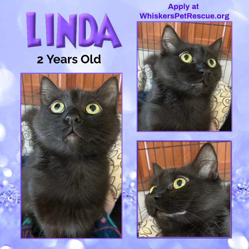 LINDA