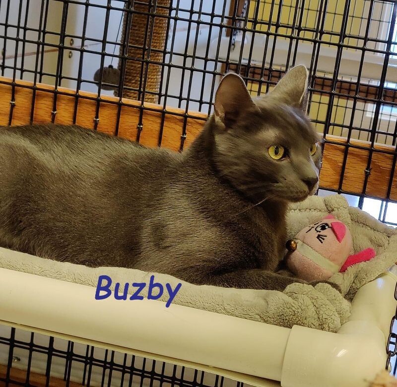Buzby