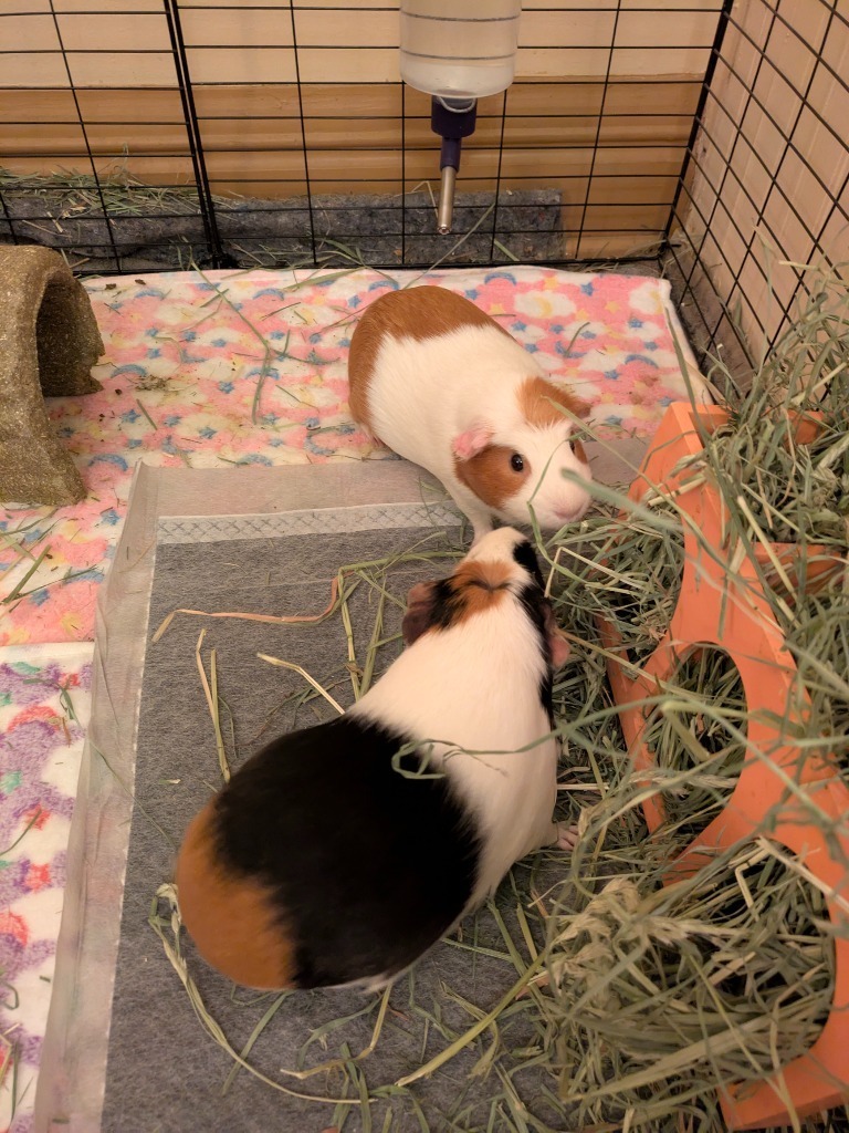 Peggy & Arthur