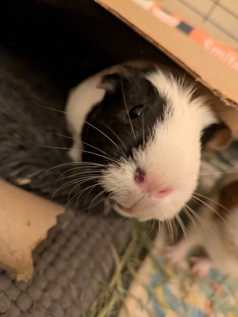 Peggy & Arthur