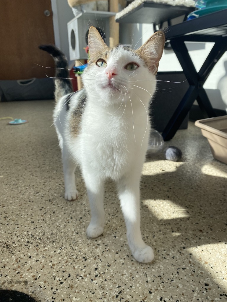 Marley
