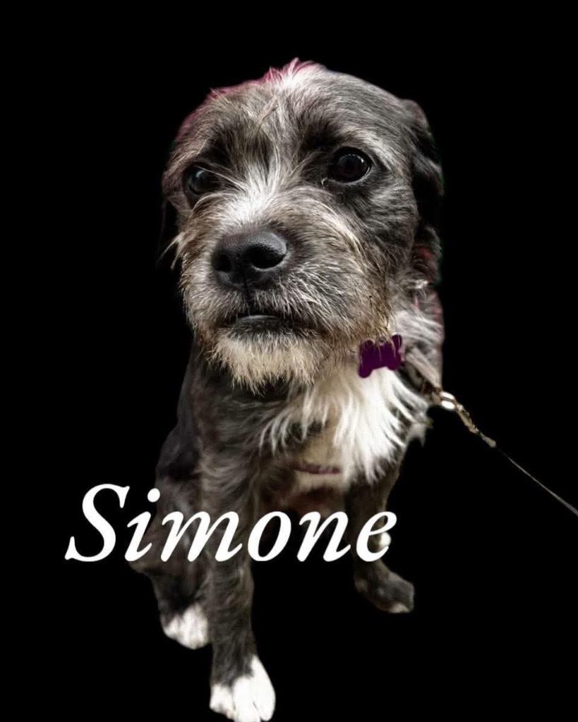 Simone