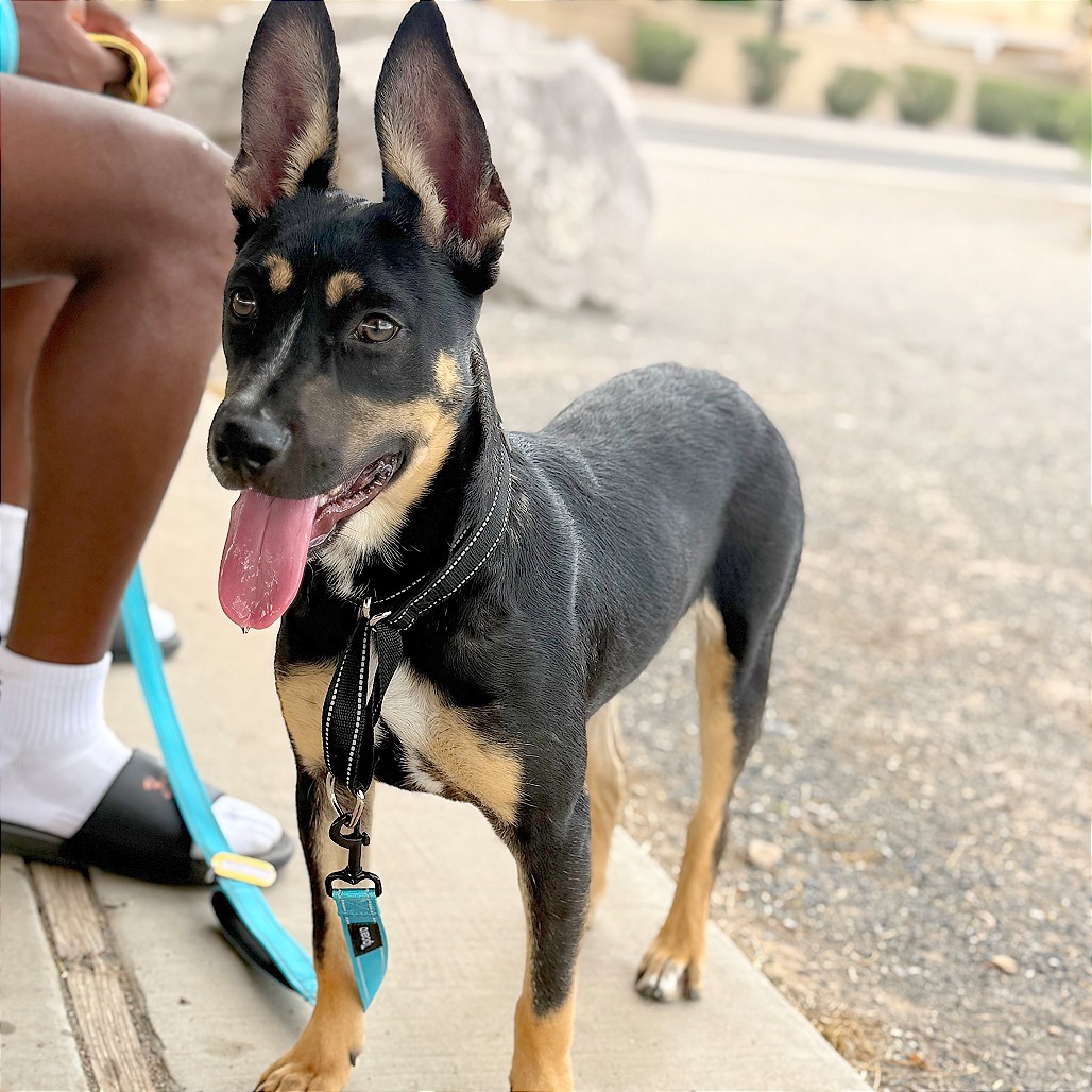 Benny
