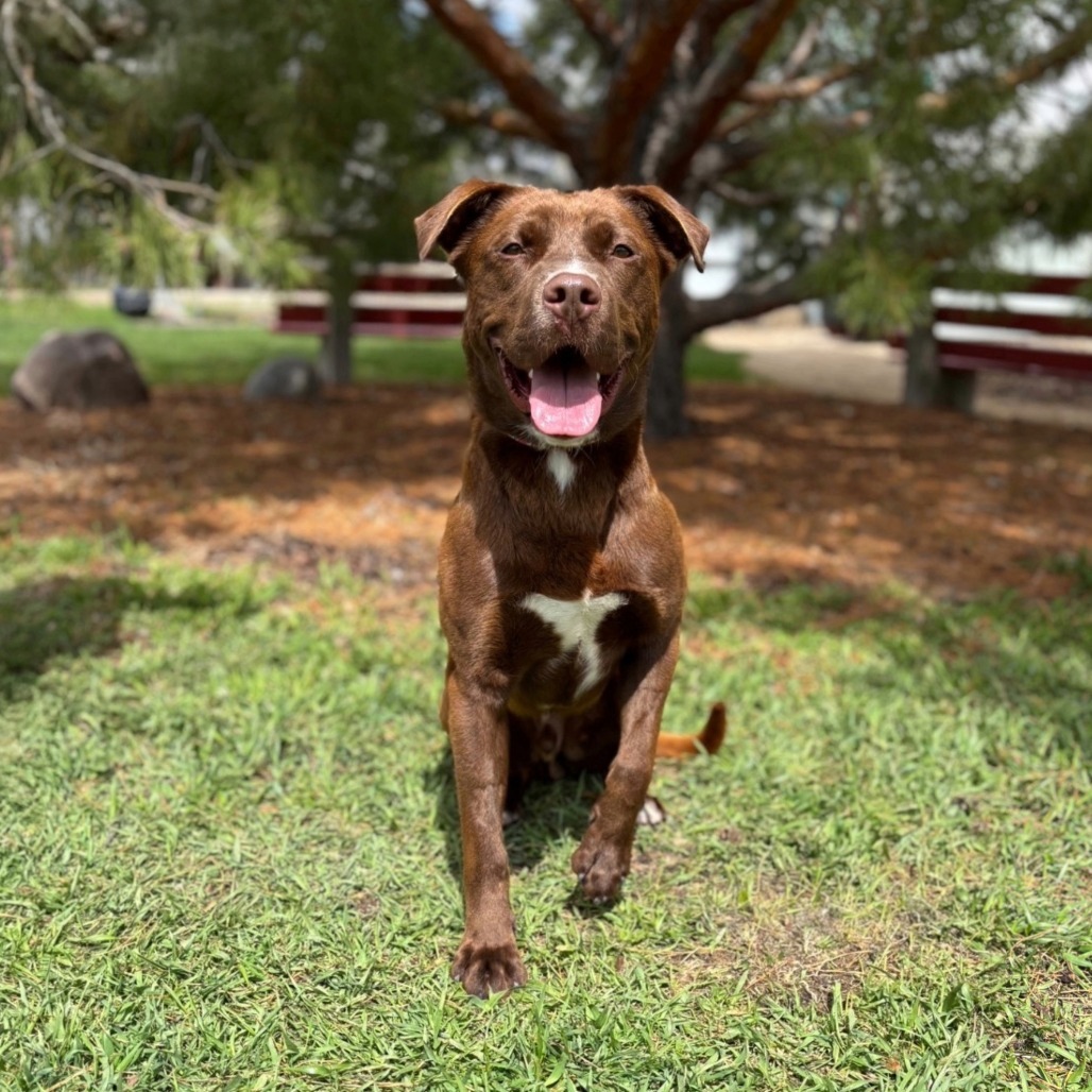 Finnegan--In Foster
