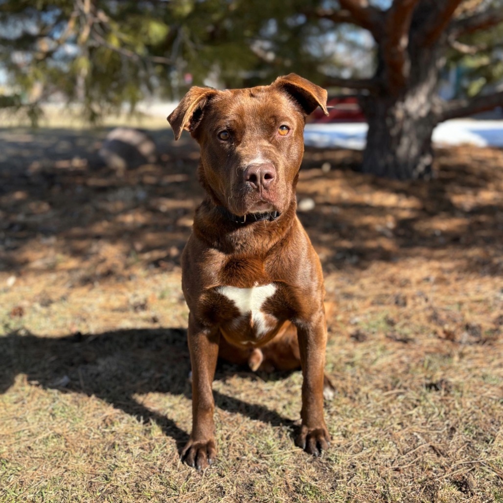 Finnegan--In Foster