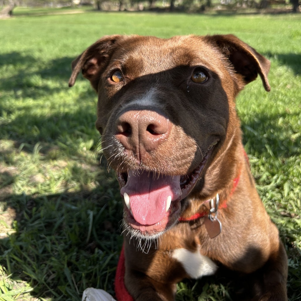 Finnegan--In Foster