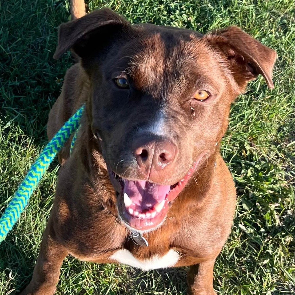 Finnegan--In Foster