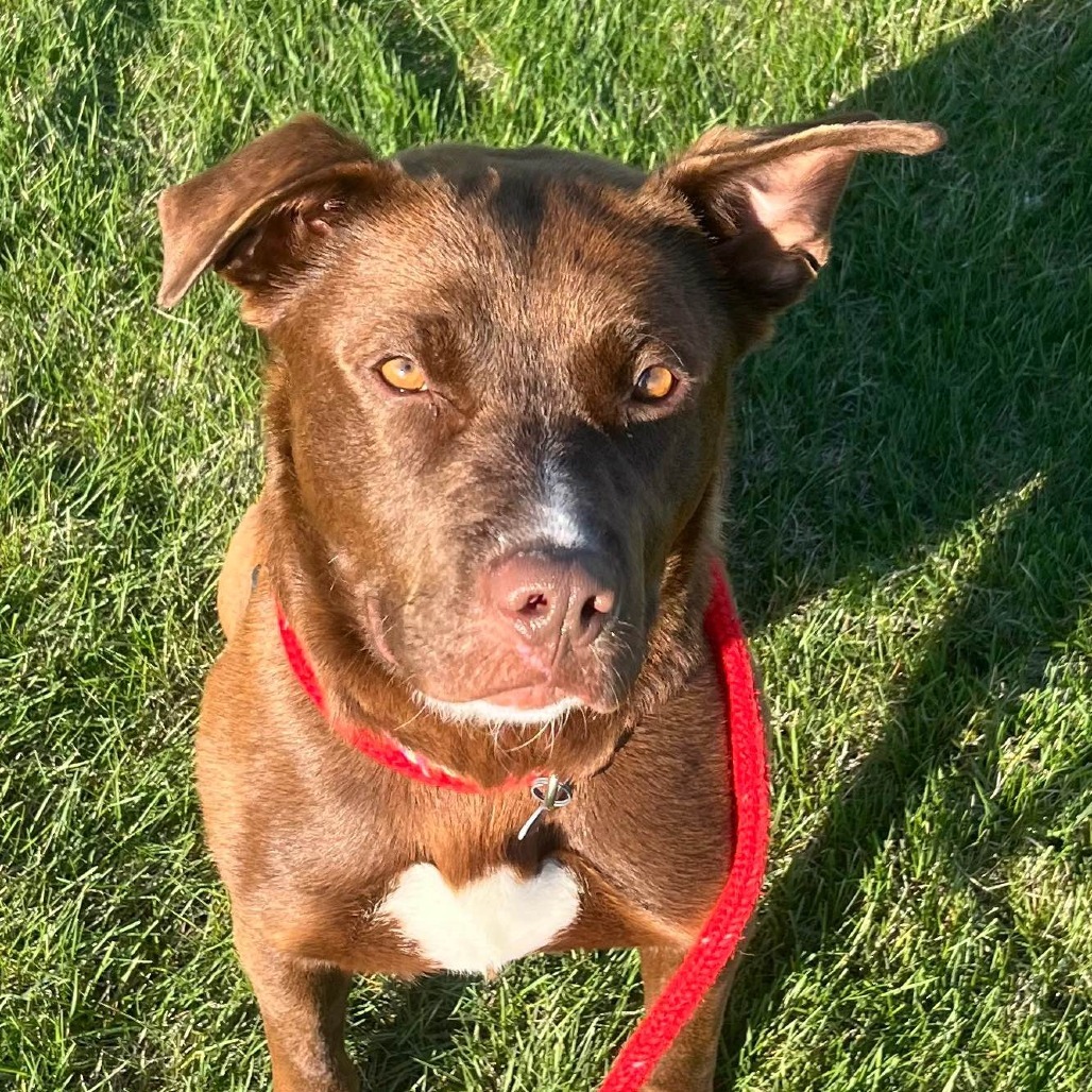 Finnegan--In Foster