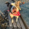 Sophia photo 4