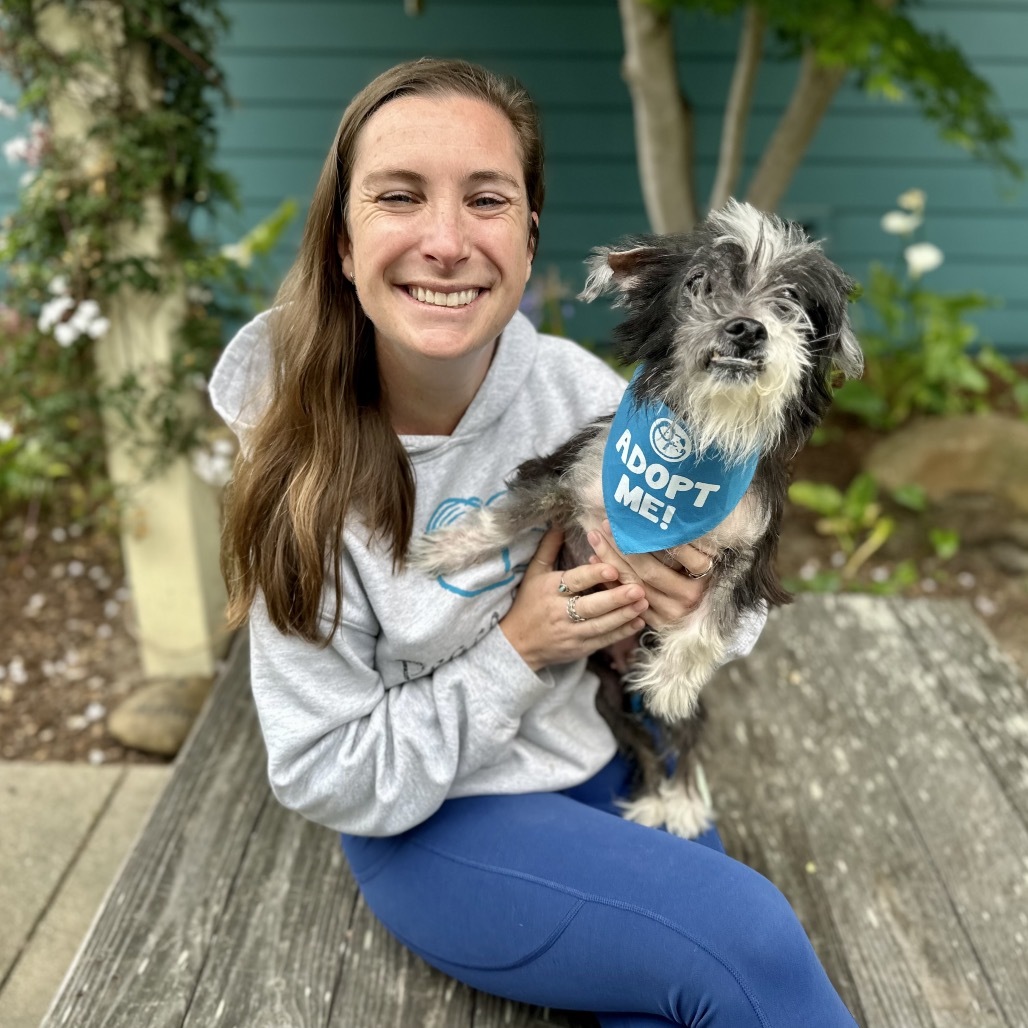 Razzle Dazzle (aka Suzie Q), an adoptable Poodle, Maltese in Pacific Grove, CA, 93950 | Photo Image 5