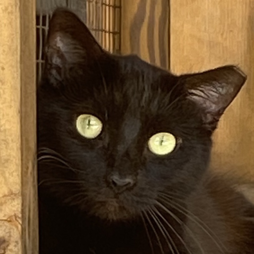Fiona