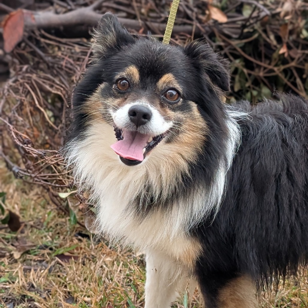 Fergus 02-1233
