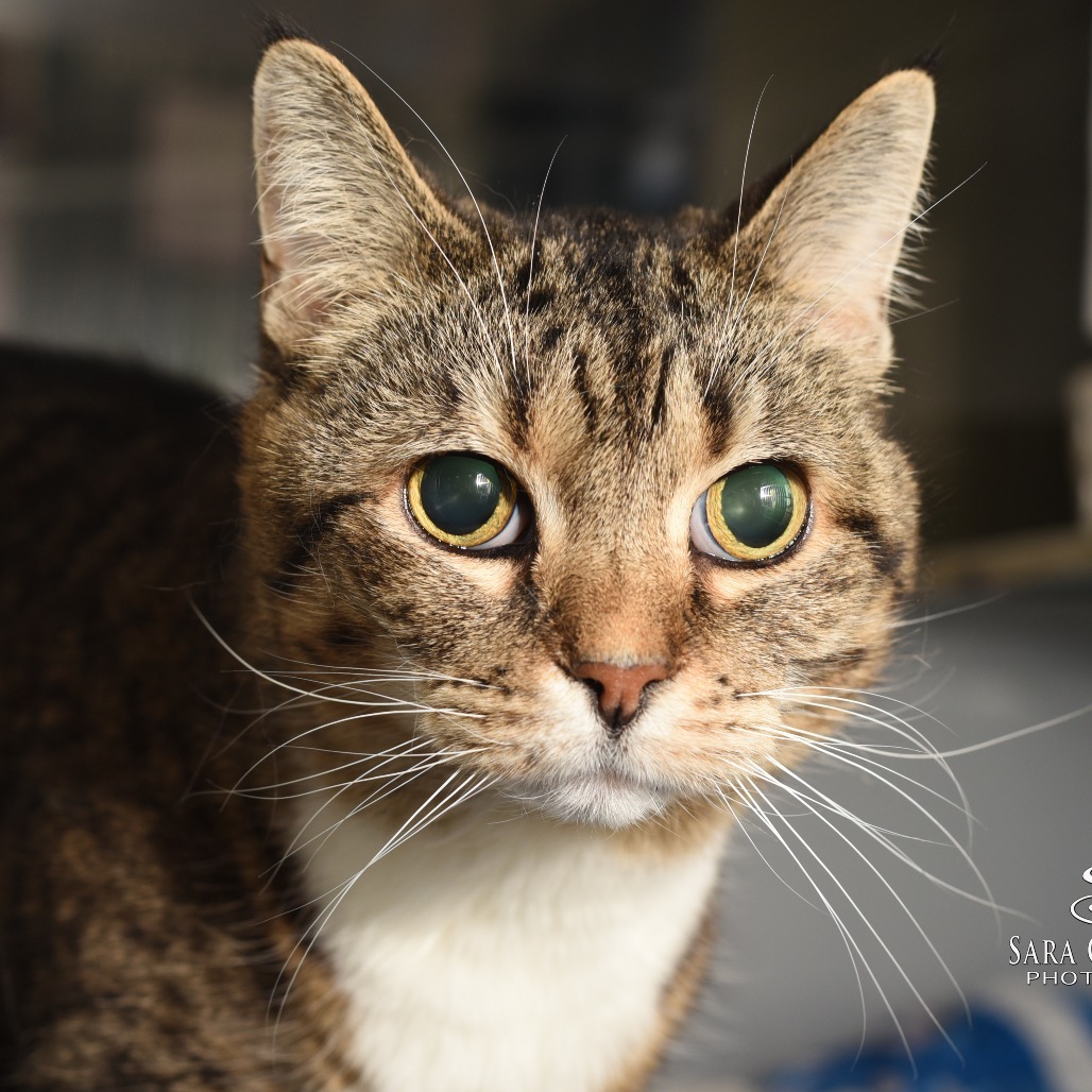 Lucy-Foster