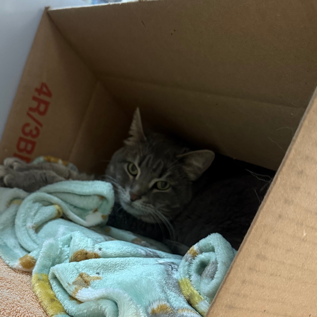 Nala June
