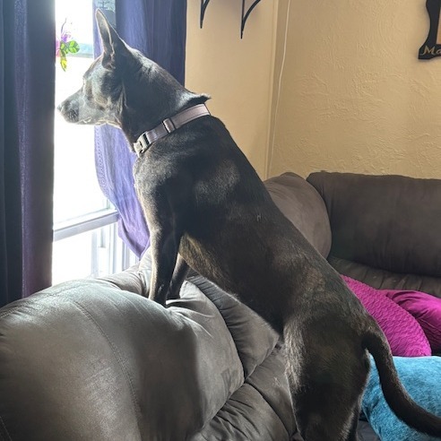 Dora Photo