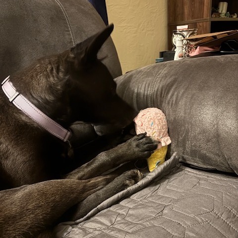 Dora Photo