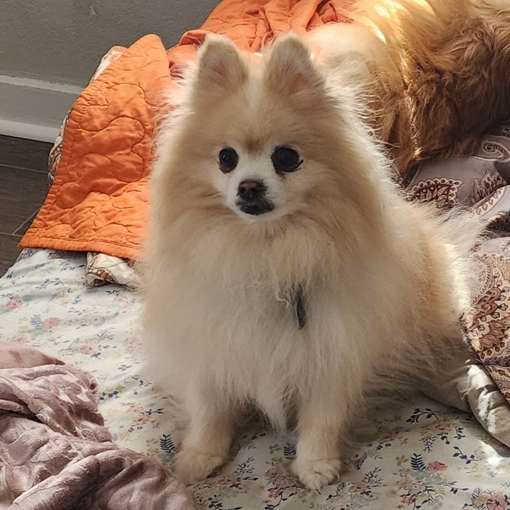 Duncan