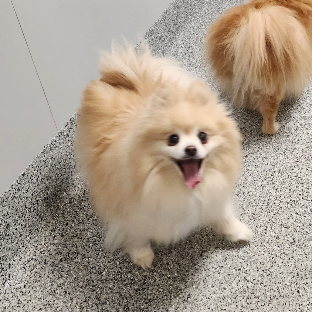 Duncan
