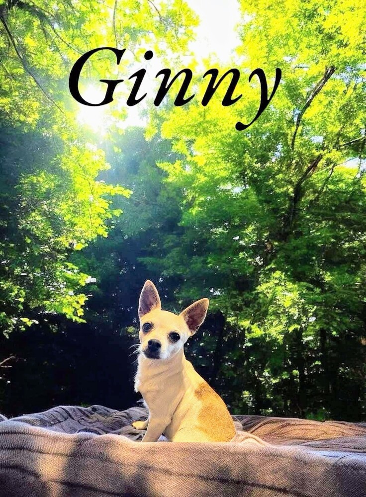 Ginny