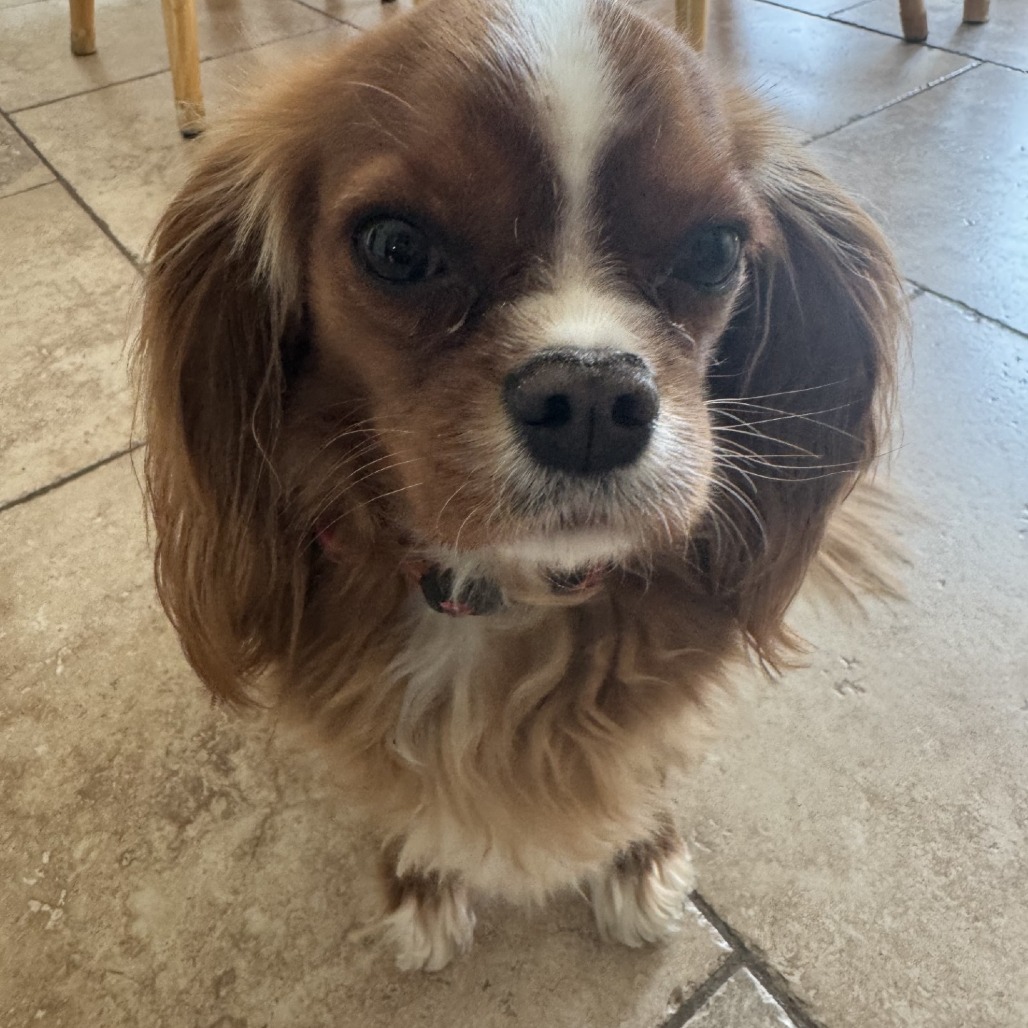 Franco