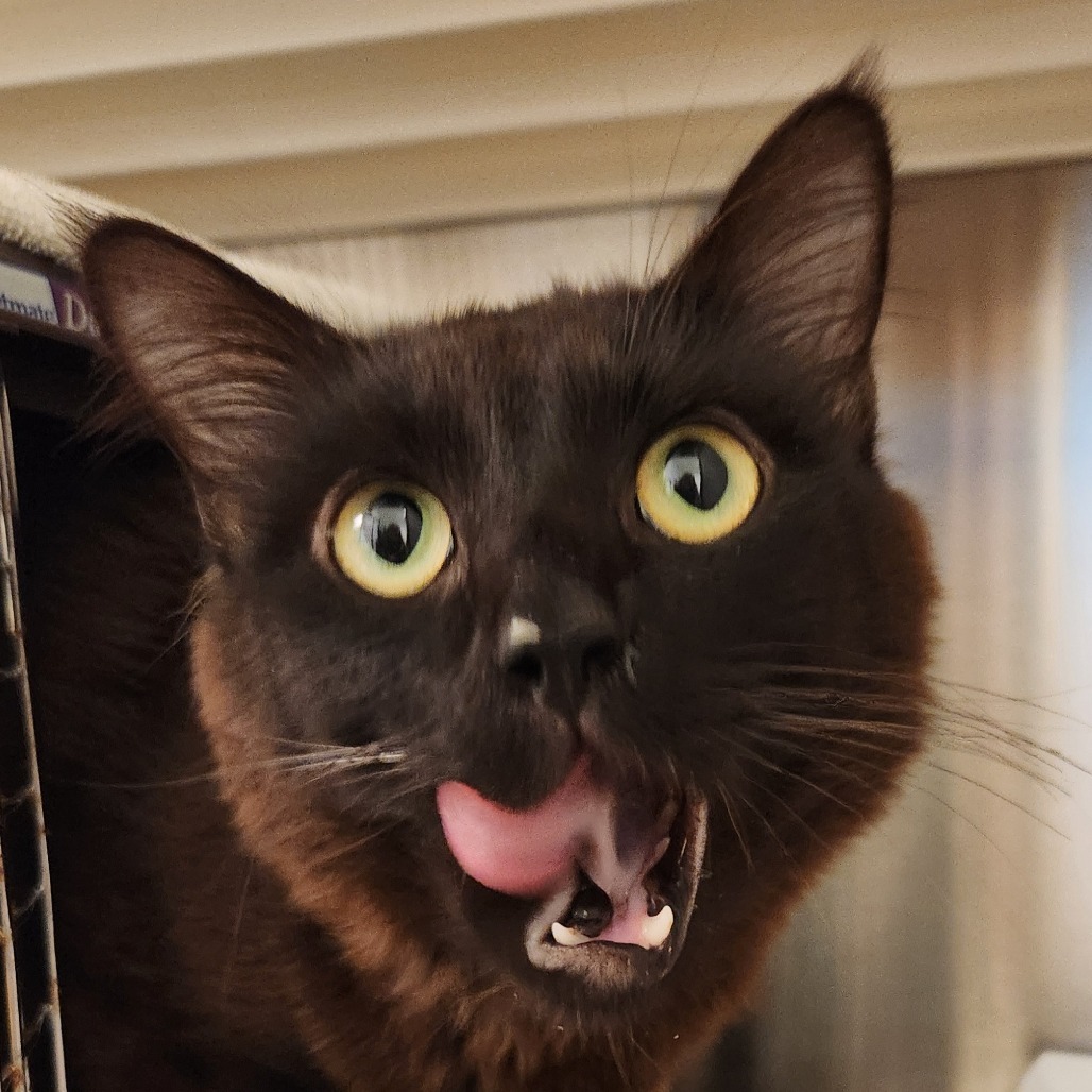 Nyx